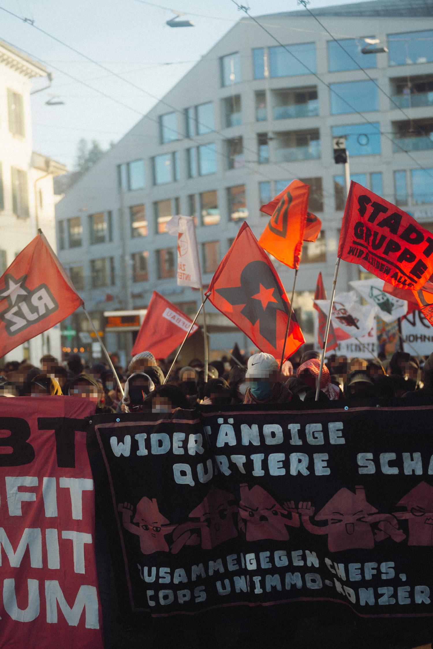 Fahen im Frontblock der Demo
